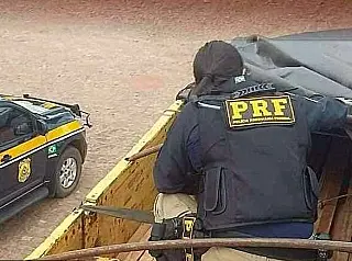 Carga ilegal de madeira é apreendida pela PRF