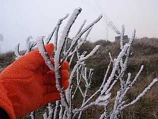 Cidade de SC registra sensação térmica de -18ºC