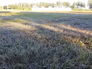 Mesmo com forte calor, Embrapa já prevê geada para junho no Sul de MS