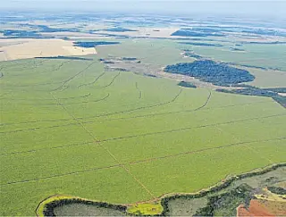MS já tem 91,5% das propriedades inscritas no cadastro ambiental