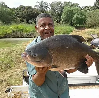 Morre o publicitário Rubens Moreira Junior
