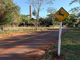 Mauricio é atendido com placas de alerta de presença de animais em vias próximas a parques e córrego