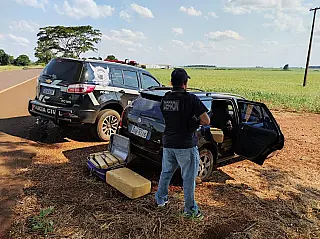 Polícia apreende 450kg de maconha na BR-376