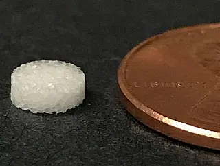 Esponja capaz de tratar diabetes tipo 2 é testada por cientistas