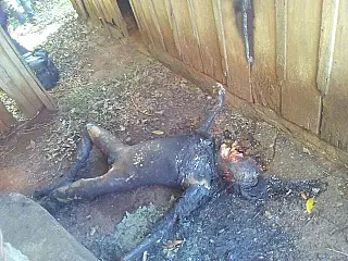 Corpo destruído pelo fogo é encontrado em casa velha