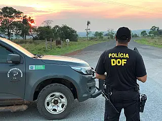 DOF aumenta em mais de 60% os resultados positivos