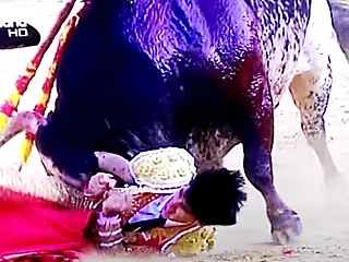 Toureiro é morto com chifrada de animal transmitida pela TV
