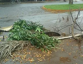 Chuva abre cratera no meio da rua em bairro de Dourados