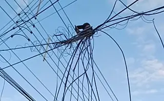 Laudir cobra atenção em relação ao acúmulo de fios nos postes de energia