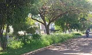 Prefeitura assina contrato para limpeza das ruas