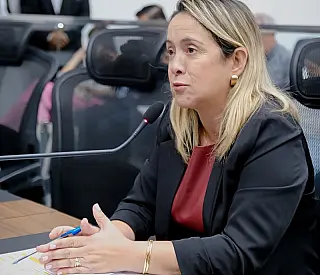 Projeto de Lei de carrinhos adaptados é aprovado em MS