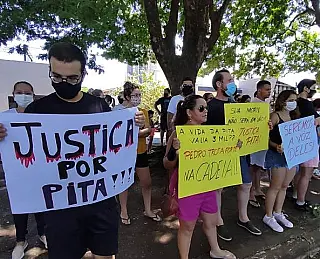 Protesto à morte da gata