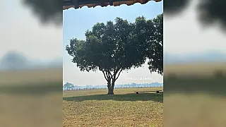 Atriz que interpreta 'Juma' registra fumaça de queimadas no Pantanal