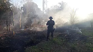 Campanha contra queimadas começa nesta segunda-feira