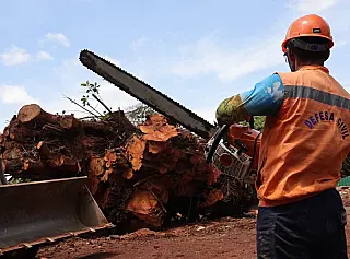 Defesa Civil soma mais de 600 atendimentos no primeiro ano