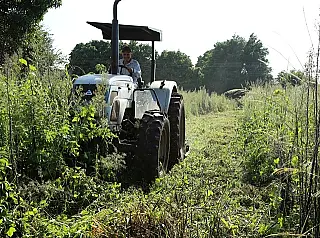 Dono de terreno baldio que não limpa imóvel paga caro em Dourados