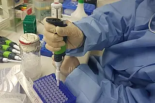 Substância que barra zika vírus é descoberta por cientistas da Fiocruz