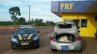 Dois são presos com 164 kg de maconha em carro com placas do Tocantins