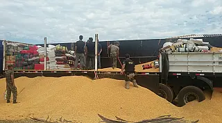 Motorista é preso com 7.700 mil quilos de maconha em carga de milho
