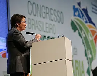 Resistindo há mais de 40 anos, Pantanal agora poderá servir a plantio de cana-de-açúcar