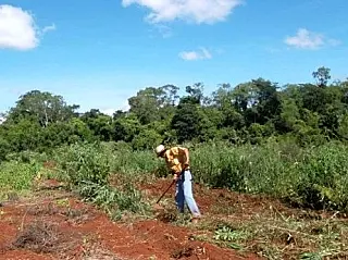 PGR decide que pequena propriedade rural de uso familiar não pode ser penhorada