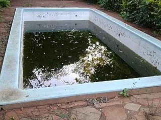 Avanço da dengue preocupa em Dourados: oito casos confirmados