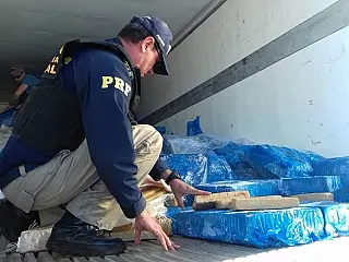 PRF apreende em MS maconha em carga de frango com destino a RJ