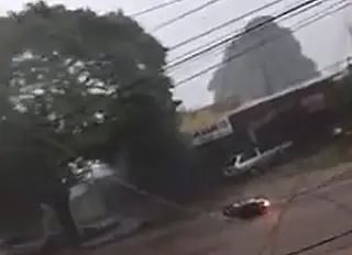 Chuva com ventos volta a derrubar árvores e causa estragos