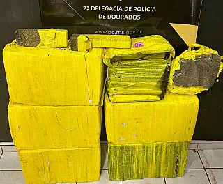 Polícia Civil fecha entreposto de drogas em Dourados    