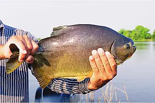 Prefeitura libera pesca no Parque do Lago neste domingo