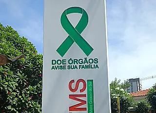 Resolução aprimora regras para o transplante em MS