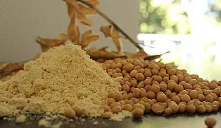 Processamento do grão cresce e exportações de óleo e farelo avançam