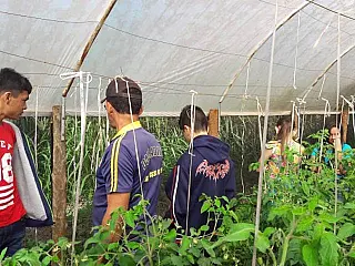 Adolescentes de Vila Vargas conhecem sistema de produção orgânica