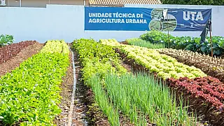 Hortifrutis doados pela Ceasa matam a fome e viram adubo para a comunidade
