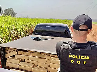 DOF apreende mais 33% de drogas no Estado