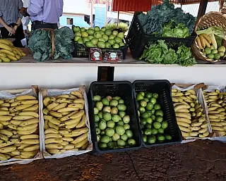 Banco de Alimentos mostra força da agricultura familiar para quem precisa