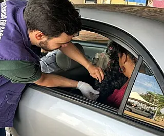 Pets recebem vacinação antirrábica em Dourados