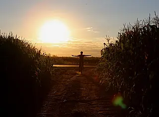 Egressa da Unigran ganha concurso nacional de fotografia do Sicredi