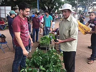 Agronomia da Unigran distribui mais de 3 mil mudas na praça