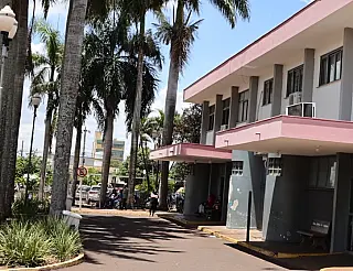 Nove óbitos e mais de 7.000 casos de Chikungunya