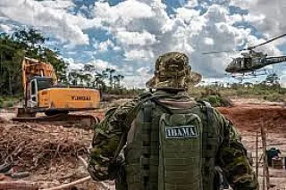 Ibama oferece 568 vagas; prova em janeiro