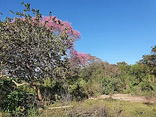 Imam quer saber como população 'sente' parque