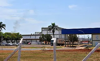 Indústrias transformam Dourados em polo da suíno-avicultura