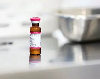 Saúde distribui mais de 16 milhões de vacinas do sarampo no País