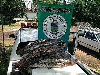 Chegam a R$ 148 mil em três meses multas por crimes ambientais em Mato Grosso do Sul