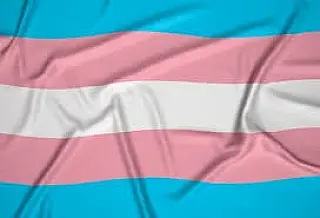 Cotas para pessoas trans nas universidades é reconhecida pelo MEC