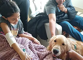 Hospital Cassems de Dourados recebe o cão Alfredinho