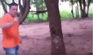 Engenheiro divulga vídeo jogando bola com onça amarrada e acaba multado