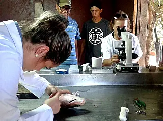 Parceria com universidades garante qualidade na festa do peixe