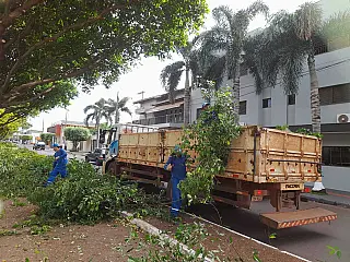 Prefeitura realiza poda de árvores na área central